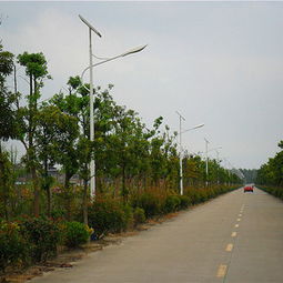 丰泽太阳能产品 丰泽太阳能产品图片 丰泽太阳能怎么样 最新丰泽太阳能产品展示